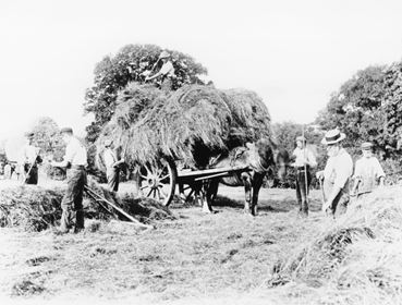 Historic images of farming, agriculture and rural life | Picture the Past