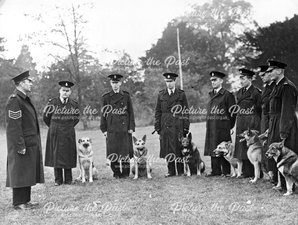 Derby Borough Police - Dog Section, Derby, c 1930s