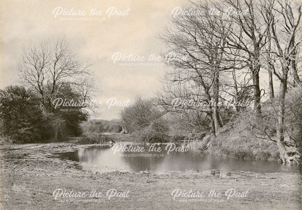 Lake at Elvaston Castle, c 1900s