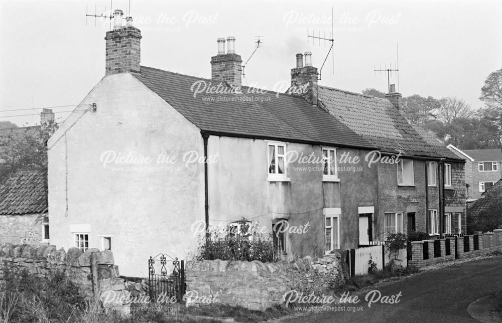 Cottages on Portland Street