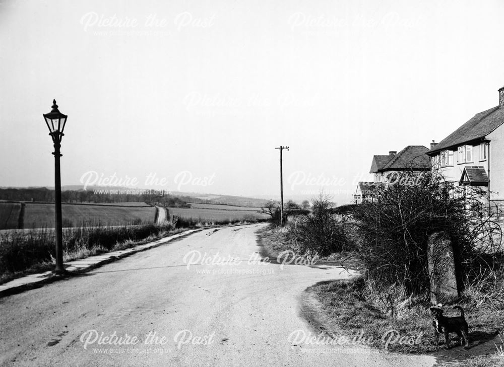 Dunston Lane before development