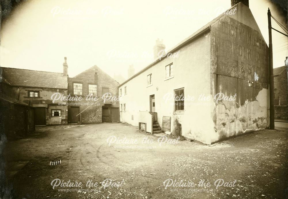 Dusty Miller Yard - rear