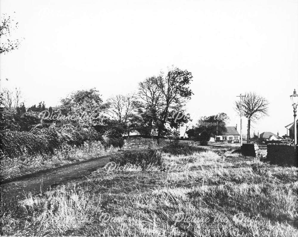 Foljambe Avenue, outside Walton Hall