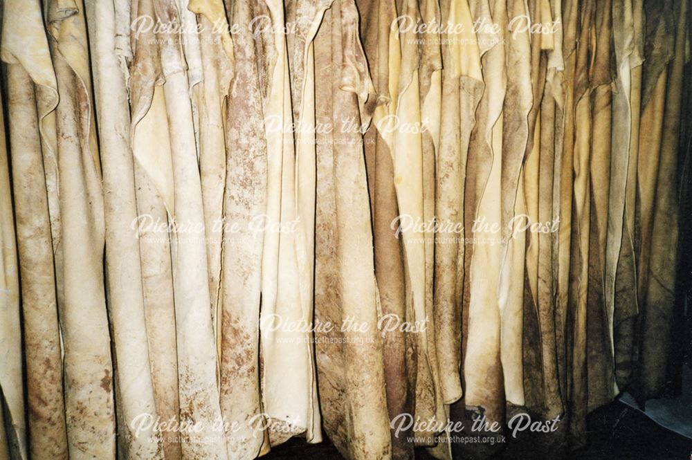 Dried Skins Hanging on Special Frames, Clayton Tannery, Chesterfield, 2004