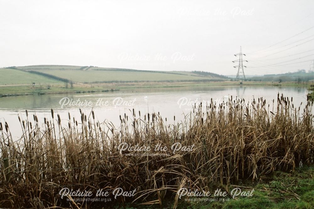 Poolsbrook Country Park - Fishing Lake and Bridleway