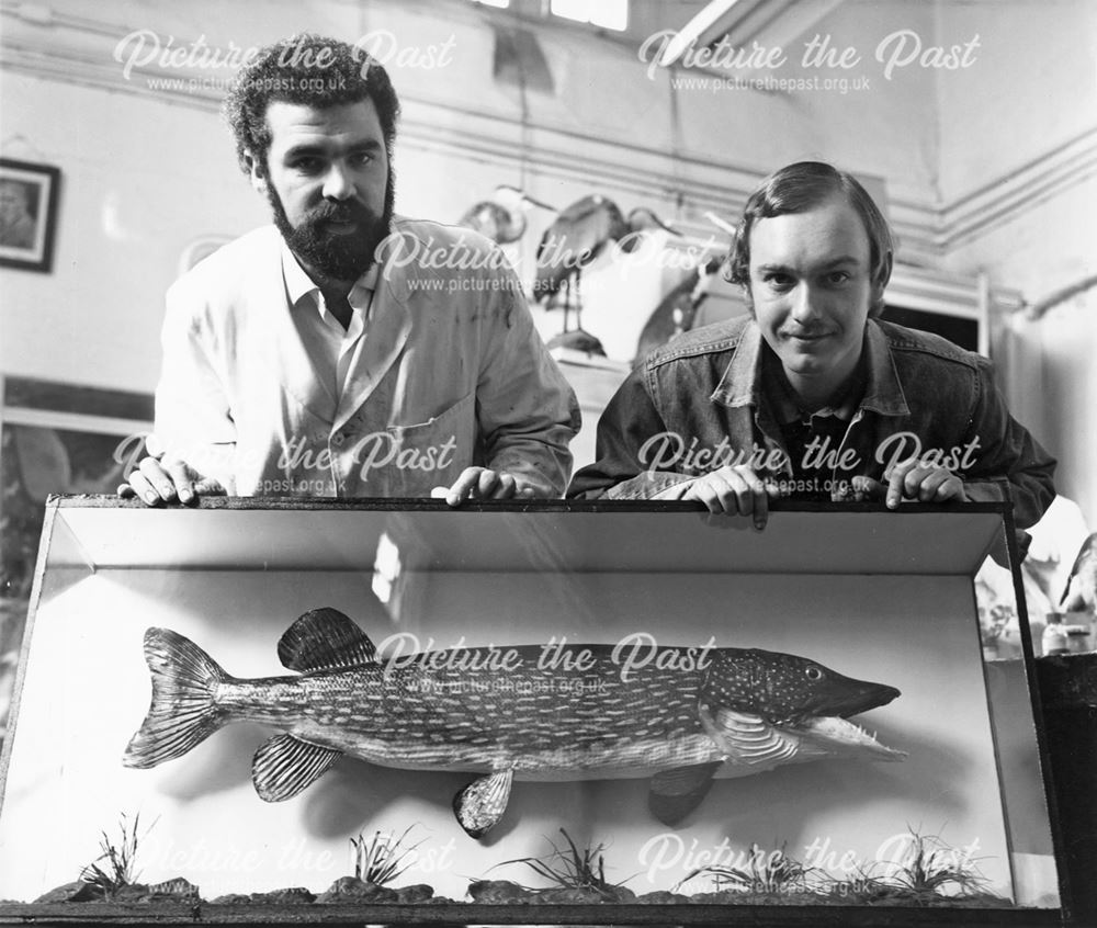 Pike Caught at Sowbrook Pond, Wollaton Hall Museum, Wollaton, Nottingham, 1972
