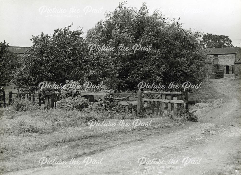 Cotmanhay Farm, Skeavingtons Lane, Cotmanhay, Ilkeston, c 1944