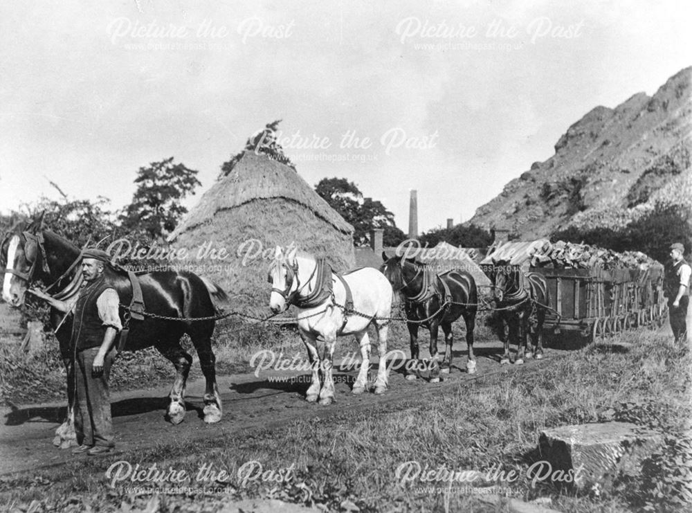 Horses and Wagons, Denby Colliery, 1898
