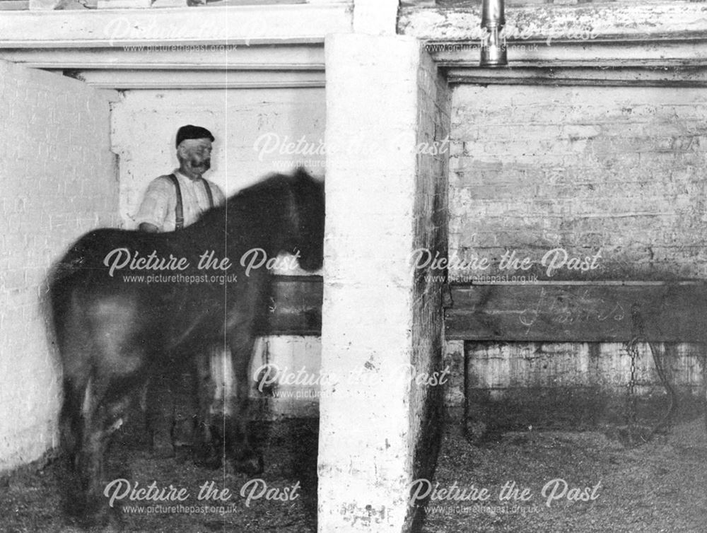 Underground Stable, Denby Colliery, 1898