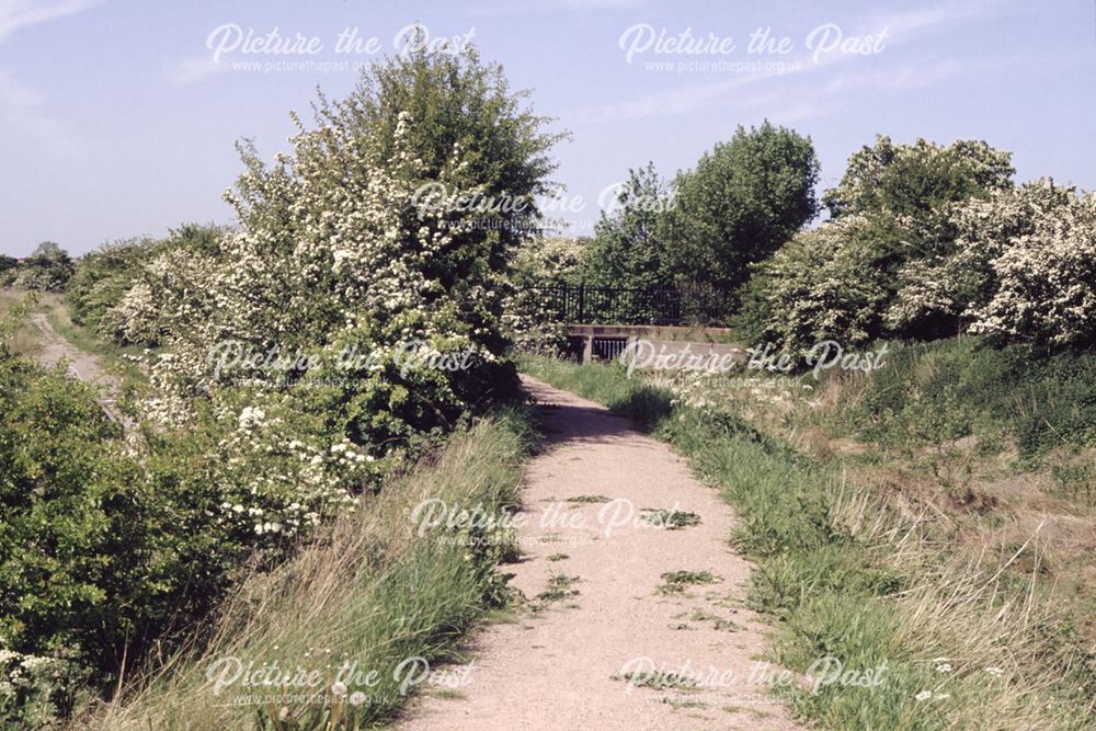 Nottingham Canal near Coronation Road, Cossall, 1992