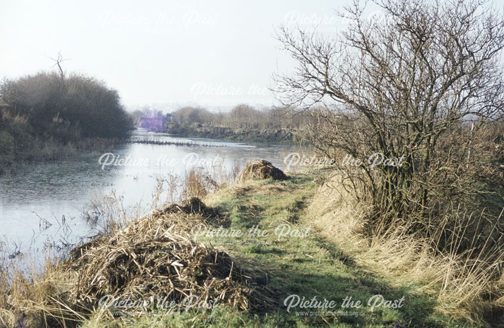 Robbinetts Arm, Nottingham Canal, Cossall, 1984