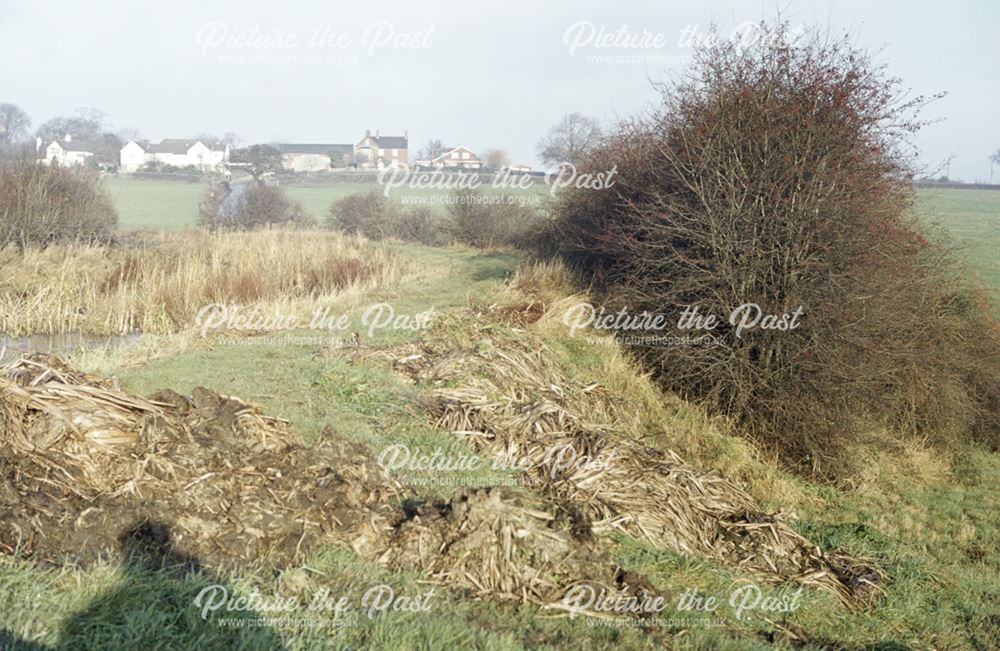 Nottingham Canal, Cossall, 1984