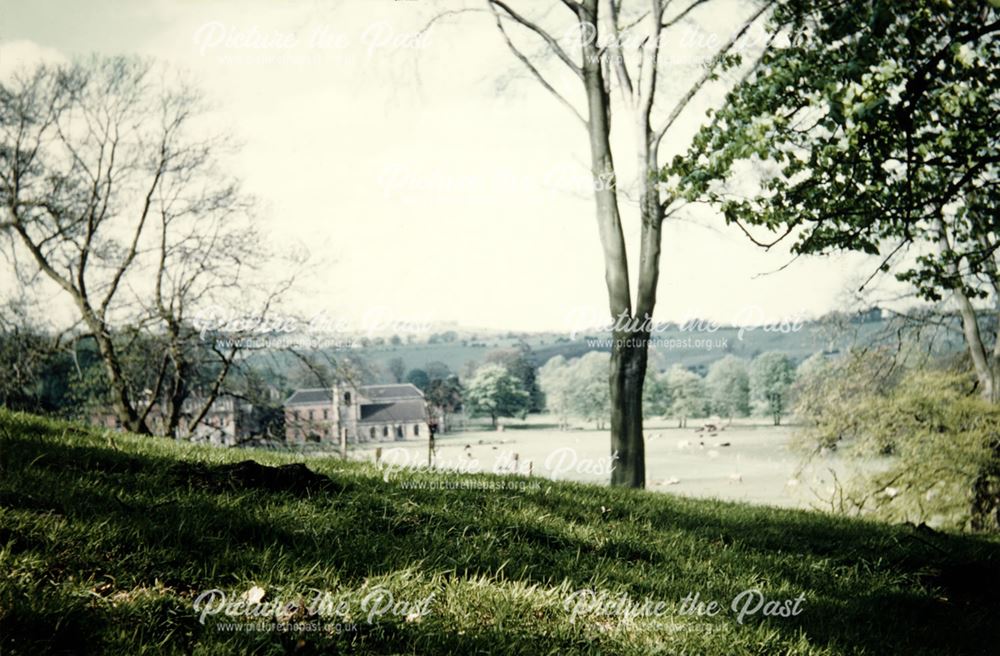 Cricket in Okeover Hall Park