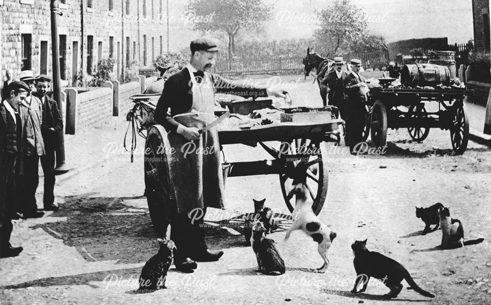 Local fishmonger selling his wares (surrounded by local dogs and cats!), Lambgates, Hadfield, c 1910