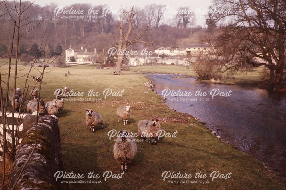 A pastoral scene with sheep, near Sheepwash Bridge, Ashford in the Water