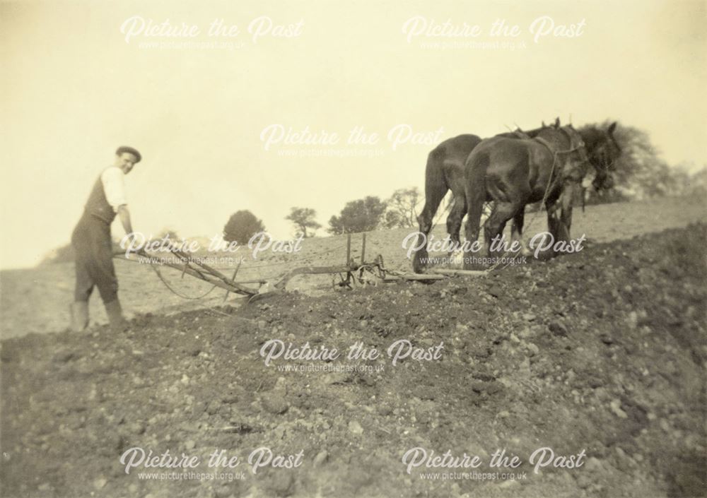 Single-furrow horse ploughing at Dale Bank Farm, Milltown (Near Ashover)