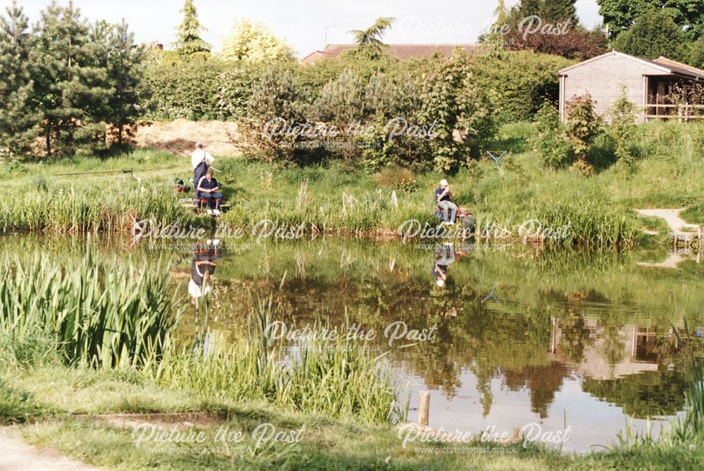Fishing Pond off Field Lane, Killamarsh