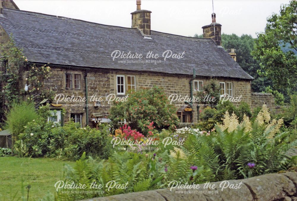 A cottage + cottage garden