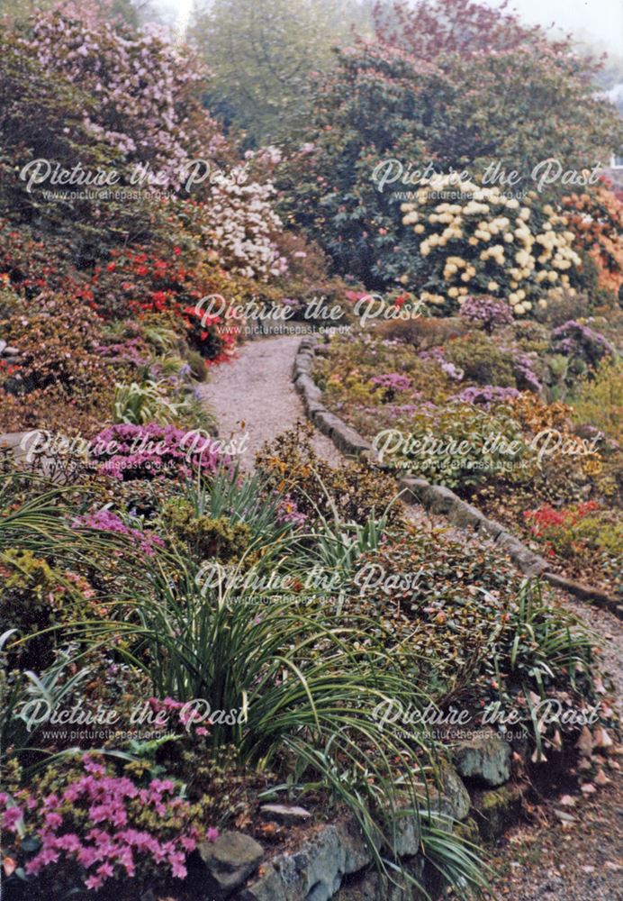 Lea Rhododendron Gardens