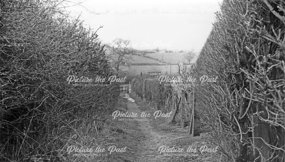 Footpath from Chestnut Close to Carr Farm