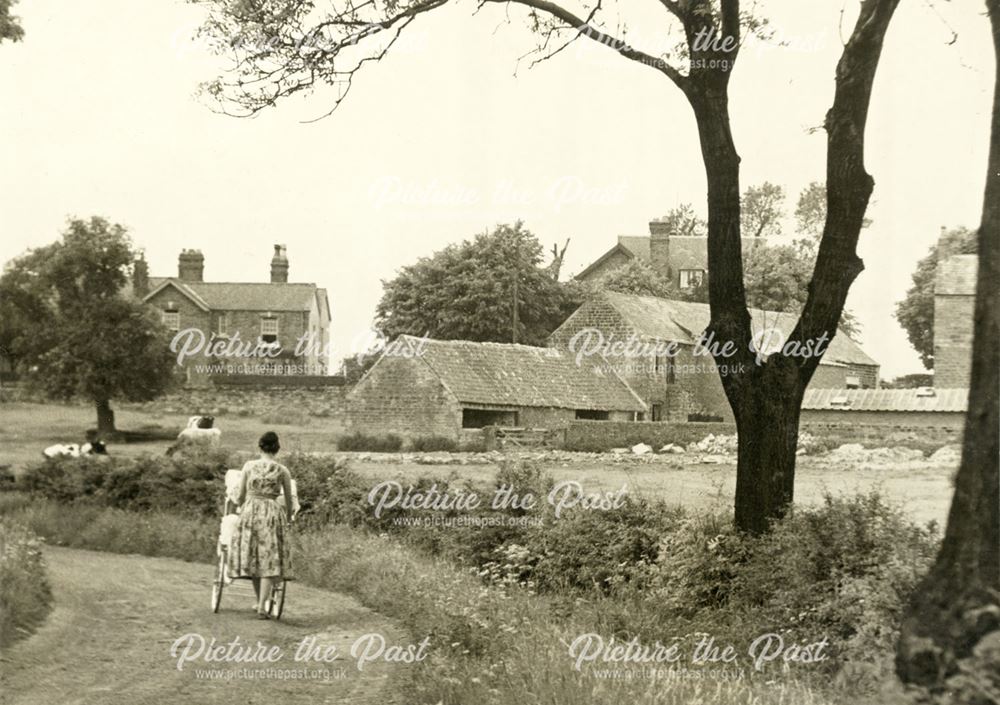 Pasture Lane, Stonebroom, 1960