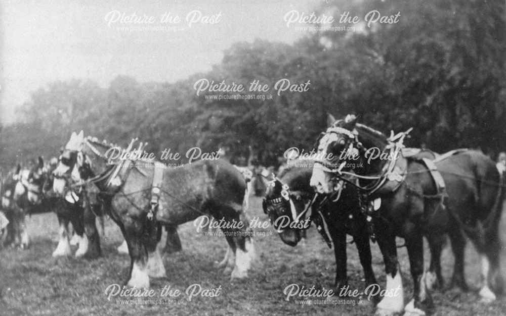 The First Ashover Show, 1925