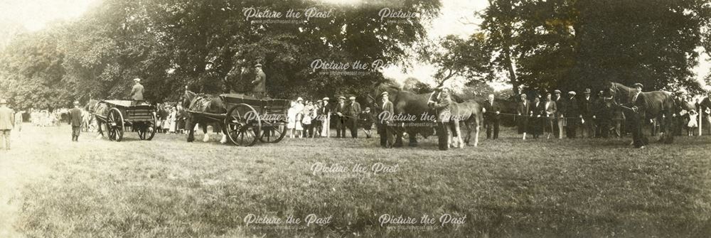 Parade of Heavy Horses at Ashover Show, 1934