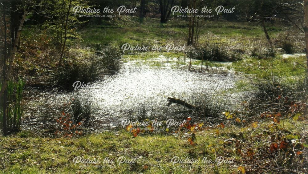 Mine subsidence, Nature Reserve, Oakerthorpe, 2007