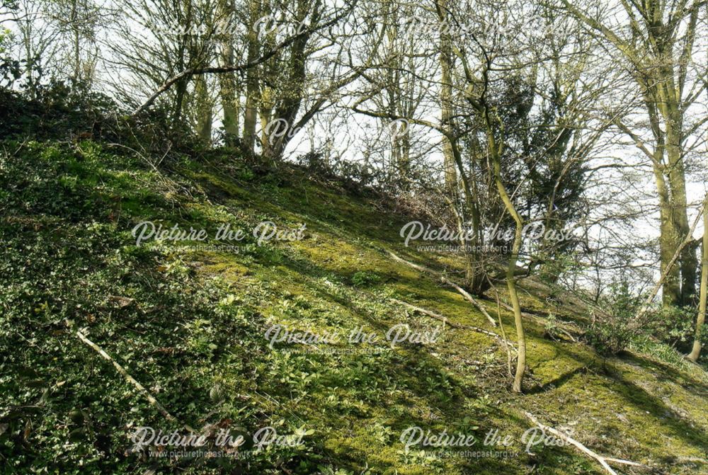 Mine waste tip, Oakerthorpe, 2007