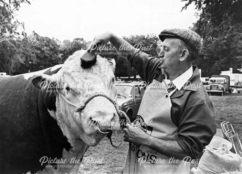 Grooming at Ashover Show, c 1970s-80s?