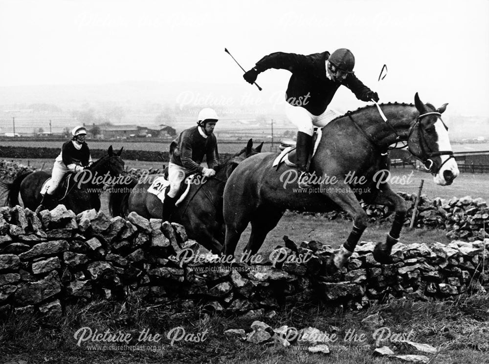 Horse Races at Flagg, 1991