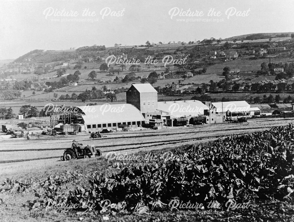 Megdale Farmland, Matlock, c 1950