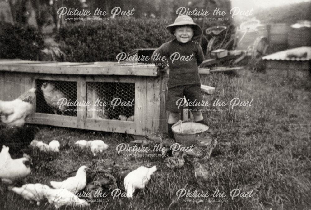 Stanley Gregory Feeding Chickens, Calver, 1924