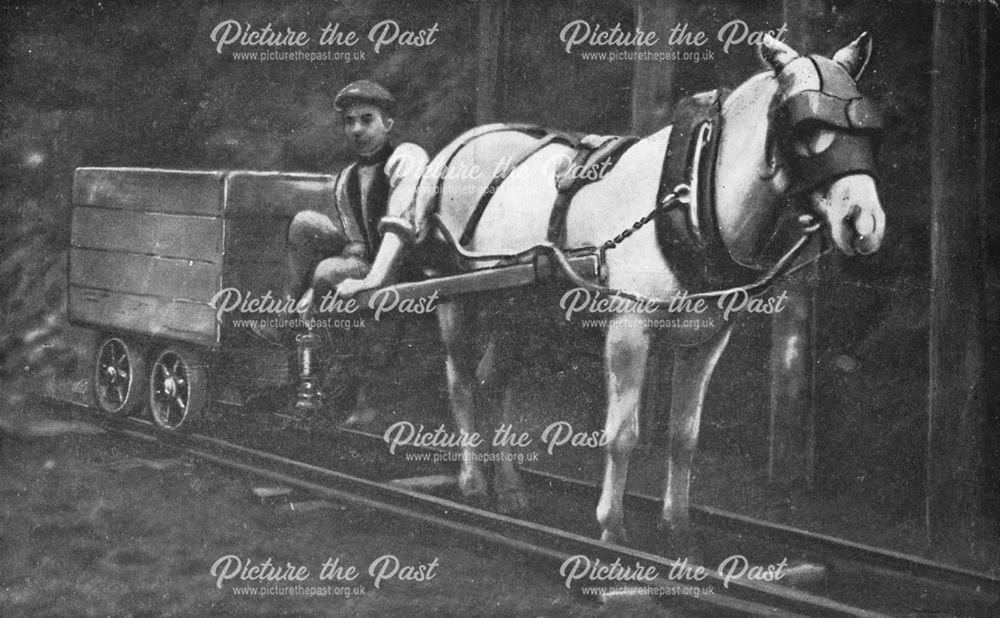 'Arrival at Daylight', Pit Pony at Clay Cross Colliery, c 1910s ?