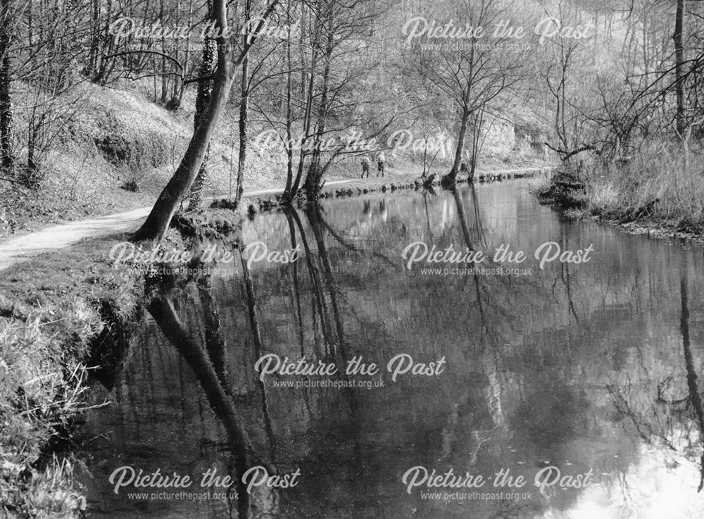Reflections at Water-cum-Jolly Dale, Cressbrook, c 1980s
