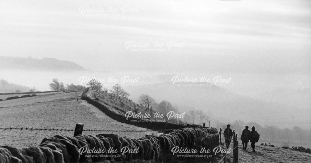 'January Mist', Longshaw, c 1980s