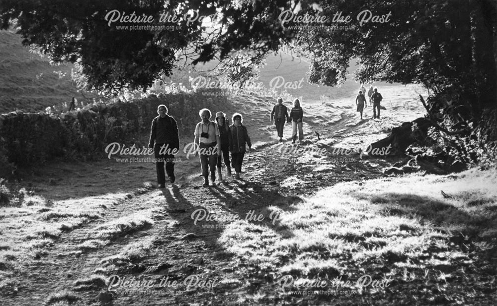 Evening Ramble near Caldwell, c 1979