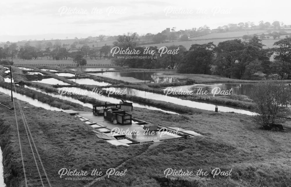 Mercaston Trout Farm, off Mercaston Lane, Muggington, 1967