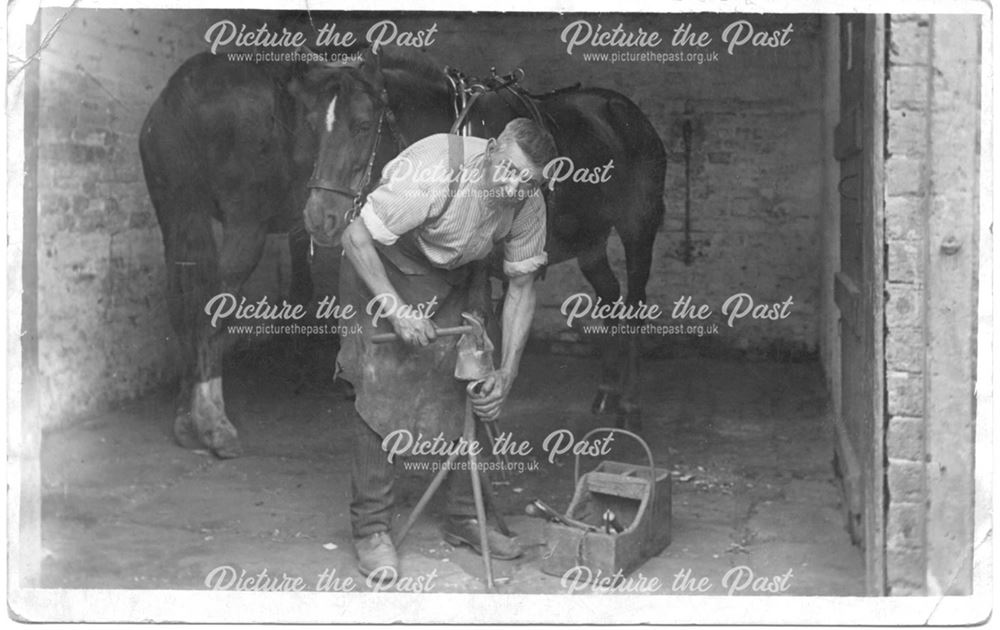 Unidentified blacksmith-farrier shoeing a horse at an unknown location