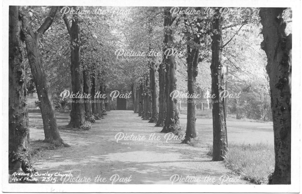 The Avenue, All Saints' Church, Sawley, c 1930s