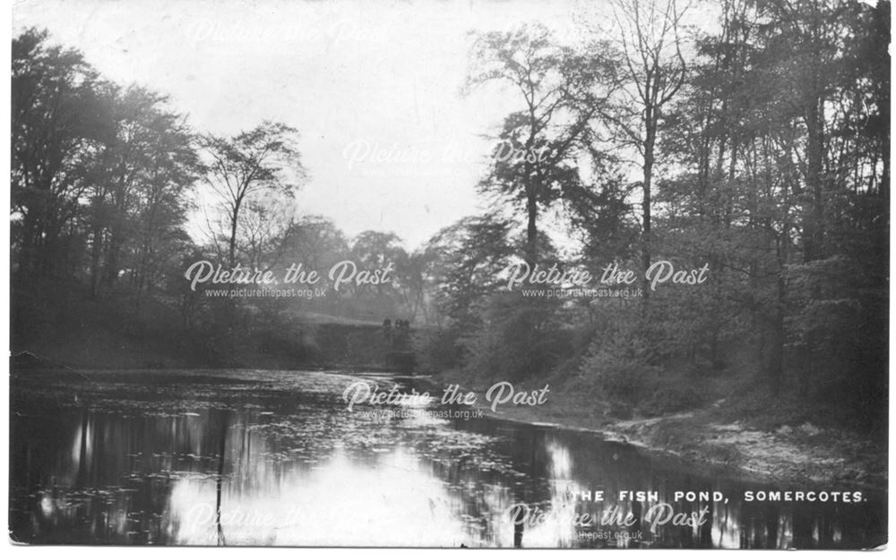 The Fish Pond, Pennytown Woods, Somercotes