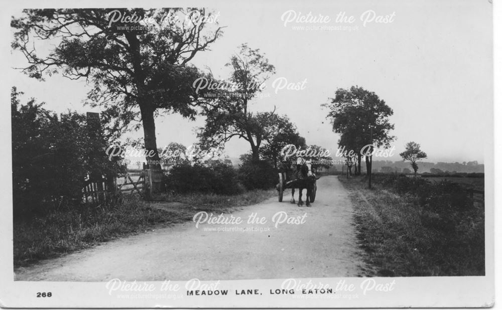 Meadow Lane, Long Eaton