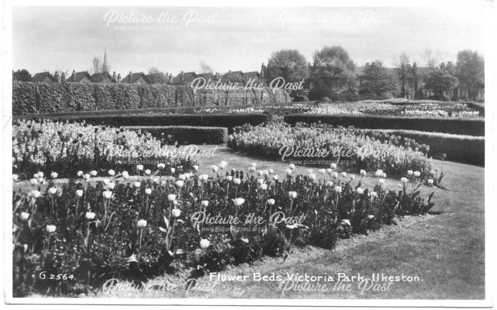 Flower beds, Victoria Park, Ilkeston