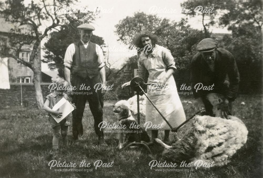 Sheep Shearing at Road Nook farm, Road Nook Farm, Brackenfield, c 1930s