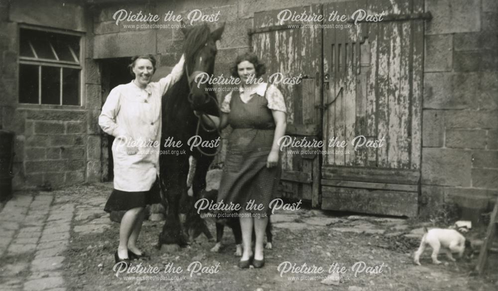 Outside the Stables at Raven House, Raven House Farm, Milltown