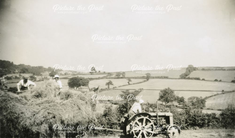 Loading Hay, Raven House, Milltown, c 1930s