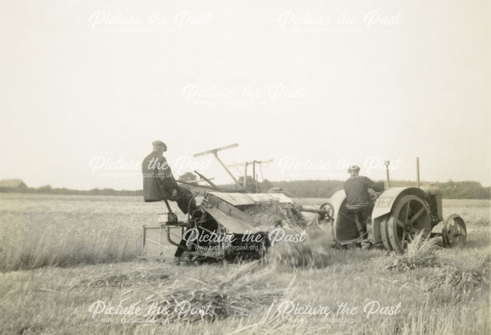 Harvesting with a Reaper, Dethick, c 1930s