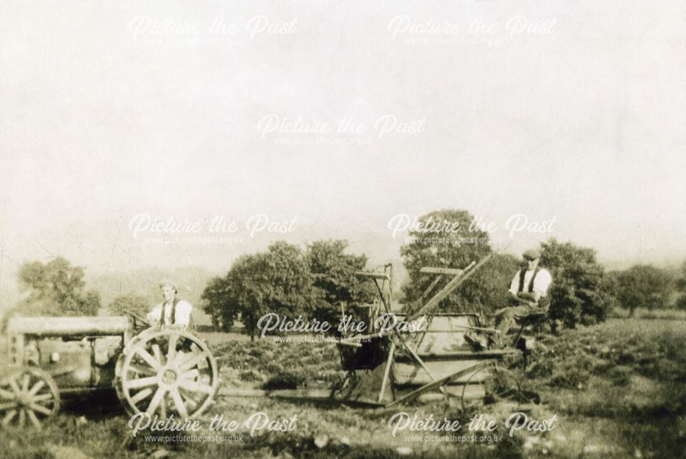 Harvesting with a Reaper, Dethick, c 1930s