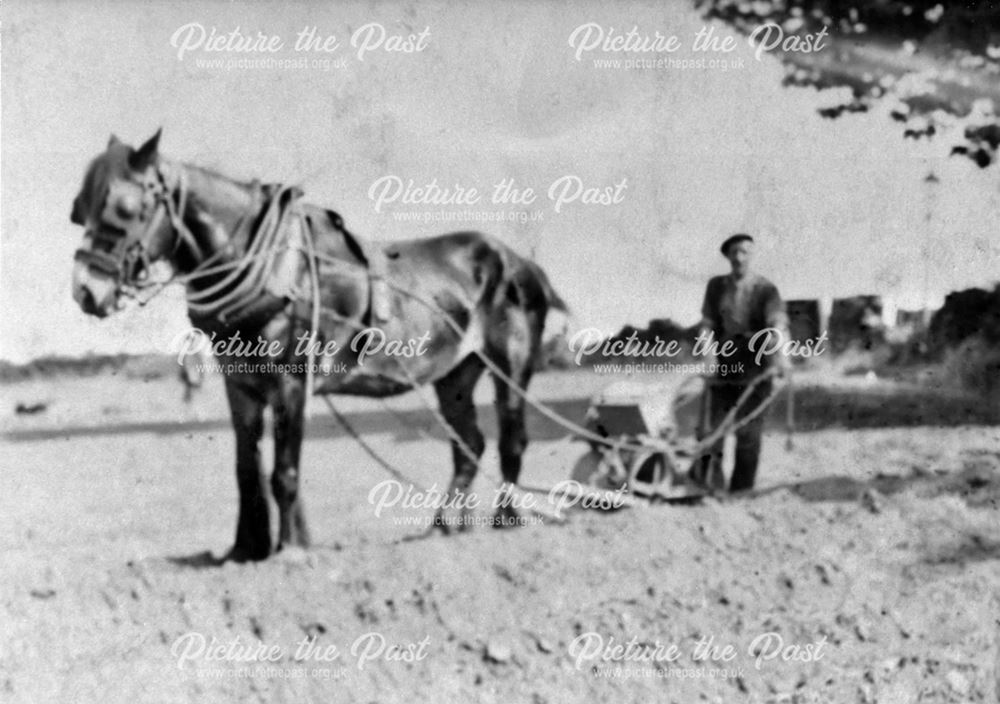 Ron Fisher of Hall Farm with horse drawn seed drill