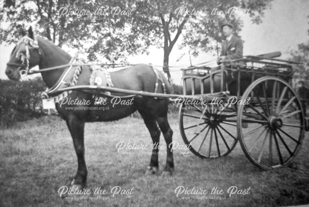 Dr Rooth on a horse drawn cart